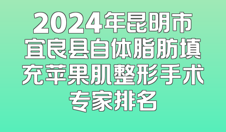 2024年昆明市宜良县自体脂肪填充苹果肌整形手术专家排名