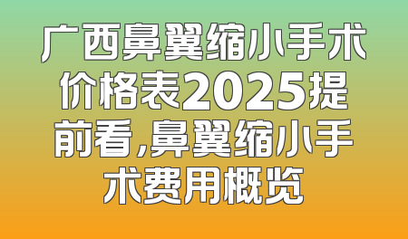 广西鼻翼缩小手术价格表2025提前看，鼻翼缩小手术费用概览