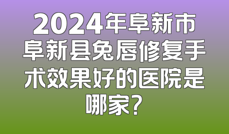 2024年阜新市阜新县兔唇修复手术效果好的医院是哪家？