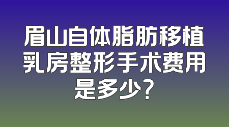 眉山自体脂肪移植乳房整形手术费用是多少？