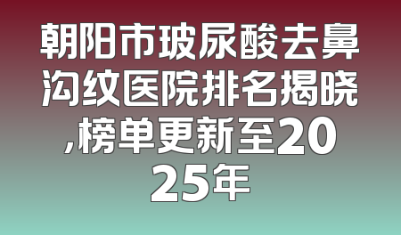 朝阳市玻尿酸去鼻沟纹医院排名揭晓，榜单更新至2025年