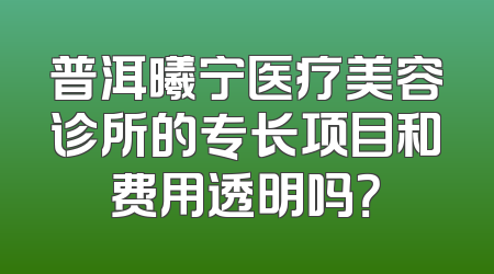 普洱曦宁医疗美容诊所的专长项目和费用透明吗？