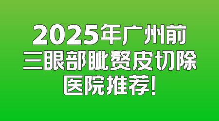 2025年广州前三眼部眦赘皮切除医院推荐！