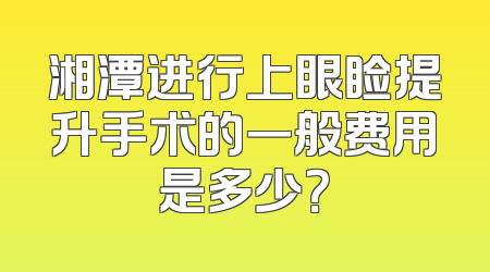 湘潭进行上眼睑提升手术的一般费用是多少？