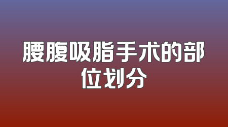 腰腹吸脂手术的部位划分