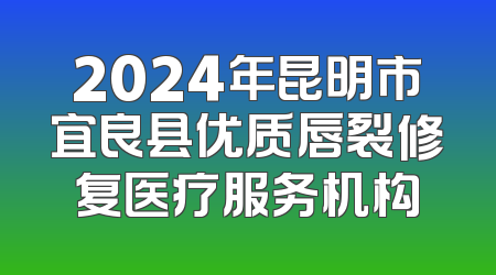 2024年昆明市宜良县优质唇裂修复医疗服务机构