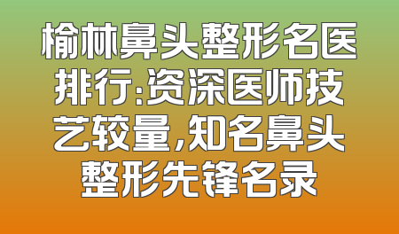 榆林鼻头整形名医排行：资深医师技艺较量，知名鼻头整形先锋名录