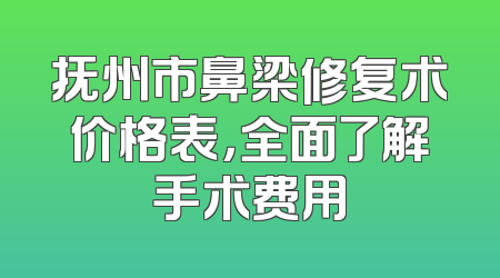 抚州市鼻梁修复术价格表，全面了解手术费用