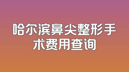 哈尔滨鼻尖整形手术费用查询