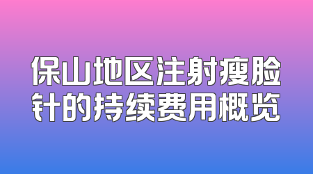 保山地区注射瘦脸针的持续费用概览