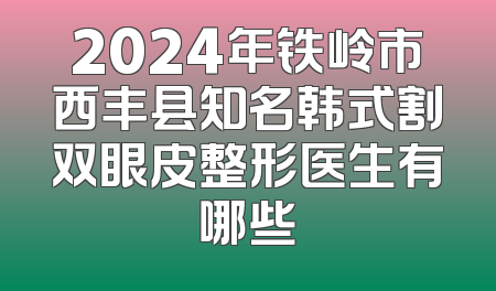 2024年铁岭市西丰县知名韩式割双眼皮整形医生有哪些