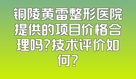 铜陵黄雷整形医院提供的项目价格合理吗？技术评价如何？