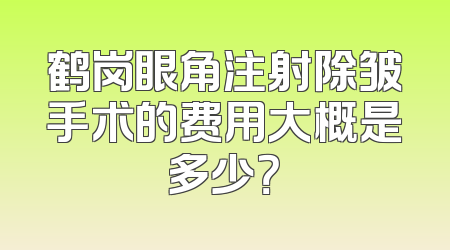 鹤岗眼角注射除皱手术的费用大概是多少？