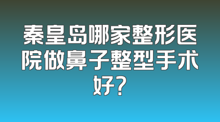 秦皇岛哪家整形医院做鼻子整型手术好？