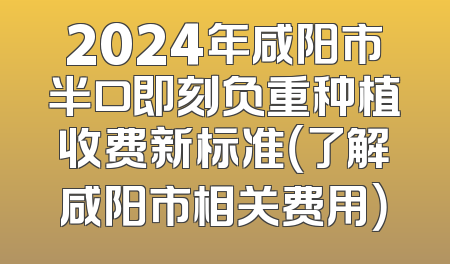 2024年咸阳市半口即刻负重种植收费新标准（了解咸阳市相关费用）
