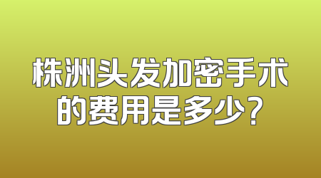 株洲头发加密手术的费用是多少？
