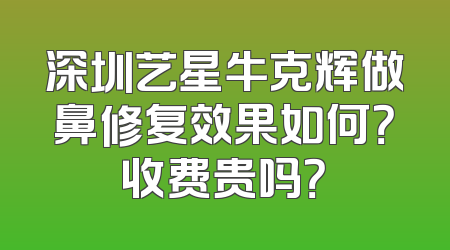 深圳艺星牛克辉做鼻修复效果如何？收费贵吗？