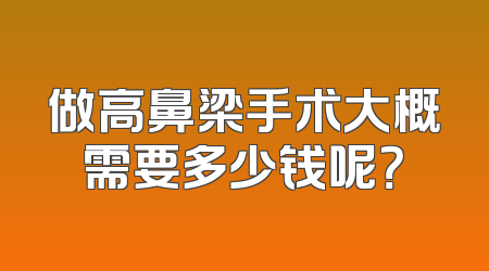 做高鼻梁手术大概需要多少钱呢？