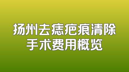 扬州去痣疤痕清除手术费用概览