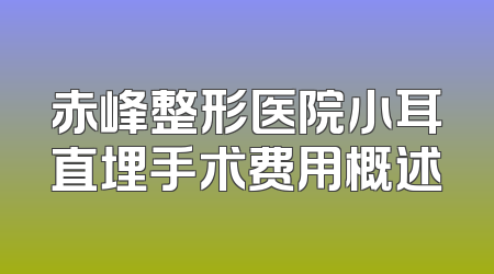 赤峰整形医院小耳直埋手术费用概述