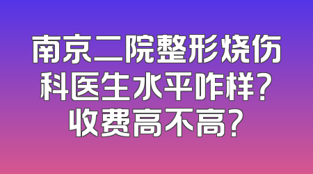 南京二院整形烧伤科医生水平咋样？收费高不高？