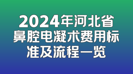 2024年河北省鼻腔电凝术费用标准及流程一览