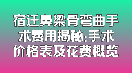 宿迁鼻梁骨弯曲手术费用揭秘：手术价格表及花费概览