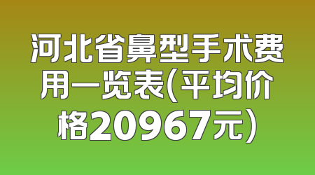 河北省鼻型手术费用一览表（平均价格20967元）