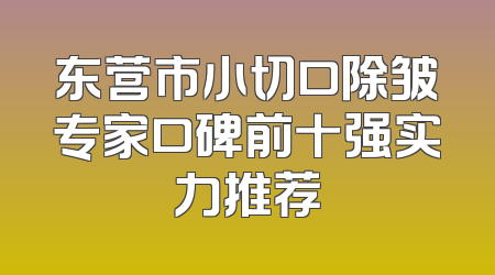 东营市小切口除皱专家口碑前十强实力推荐