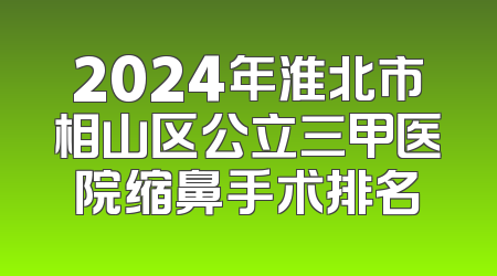 2024年淮北市相山区公立三甲医院缩鼻手术排名