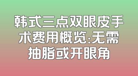韩式三点双眼皮手术费用概览：无需抽脂或开眼角