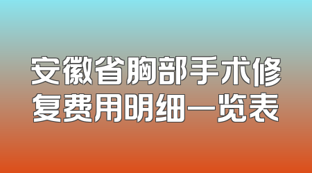 安徽省胸部手术修复费用明细一览表