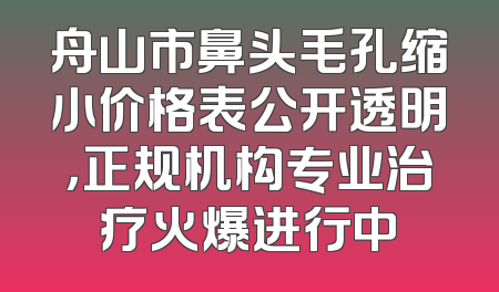 舟山市鼻头毛孔缩小价格表公开透明，正规机构专业治疗火爆进行中