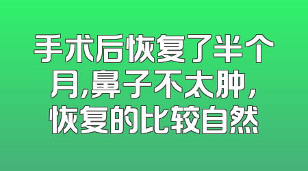 手术后恢复了半个月，鼻子不太肿，恢复的比较自然