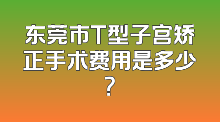 东莞市T型子宫矫正手术费用是多少？