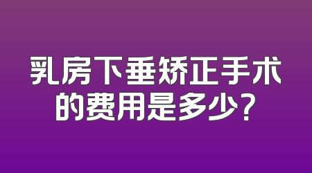 乳房下垂矫正手术的费用是多少？