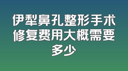伊犁鼻孔整形手术修复费用大概需要多少