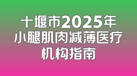 十堰市2025年小腿肌肉减薄医疗机构指南