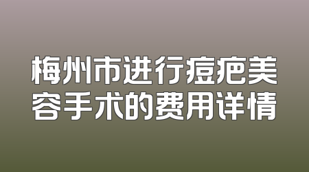 梅州市进行痘疤美容手术的费用详情