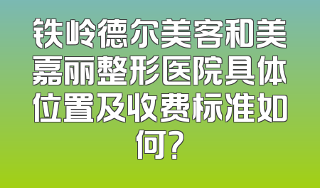 铁岭德尔美客和美嘉丽整形医院具体位置及收费标准如何？