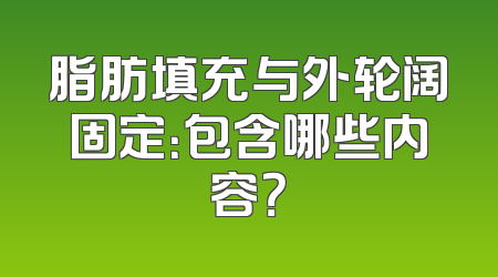 脂肪填充与外轮阔固定：包含哪些内容？