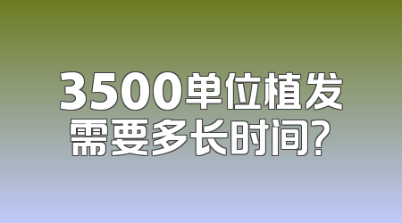 3500单位植发需要多长时间？