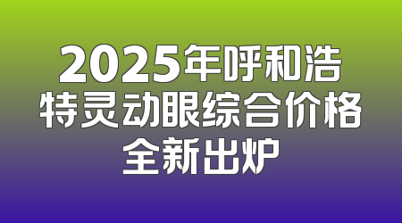 2025年呼和浩特灵动眼综合价格全新出炉