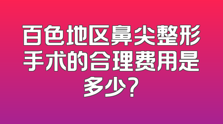 百色地区鼻尖整形手术的合理费用是多少？