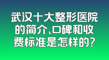 武汉十大整形医院的简介、口碑和收费标准是怎样的？