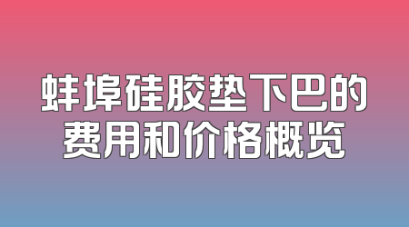 蚌埠硅胶垫下巴的费用和价格概览