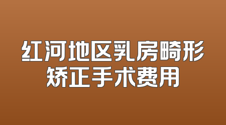 红河地区乳房畸形矫正手术费用