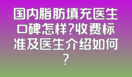 国内脂肪填充医生口碑怎样？收费标准及医生介绍如何？