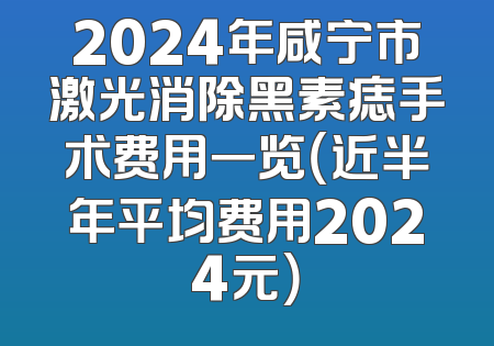2024年咸宁市激光消除黑素痣手术费用一览（近半年平均费用2024元）