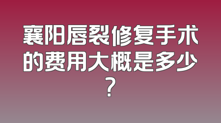 襄阳唇裂修复手术的费用大概是多少？